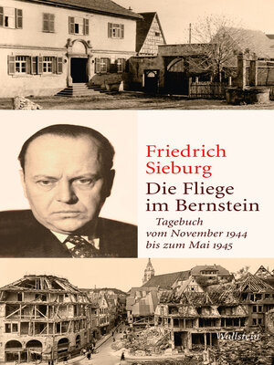 cover image of Die Fliege im Bernstein